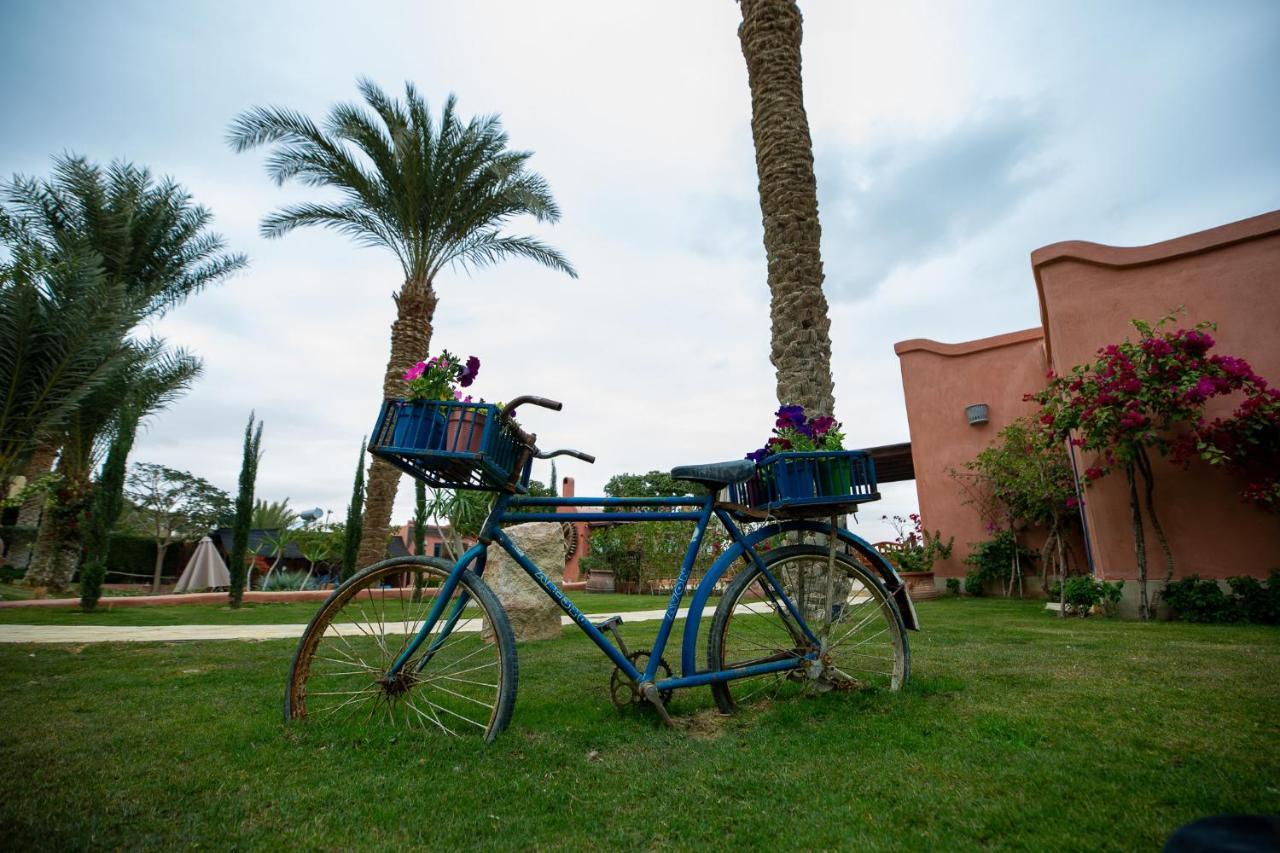 Lazib Inn Resort & Spa Tunis Dış mekan fotoğraf